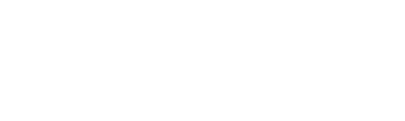 Rave Division